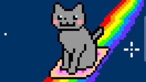 Nyan catt