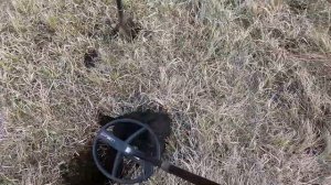 АКА Инторник и DEUS2 февральский тест