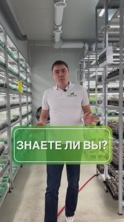 Секрет адаптационной комнаты 🤫