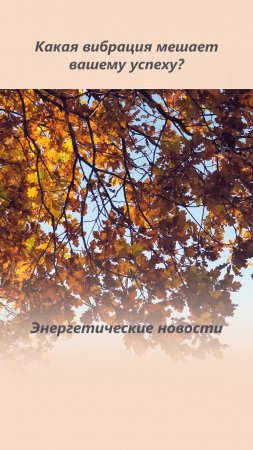Какая вибрация мешает вашему успеху