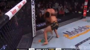 Пантожа - Кара Франц, UFC 317, Пантожа лучший мухач или Кай абсетнет?