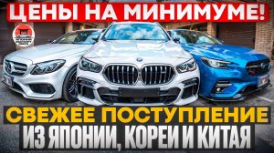 Свежее поступление авто - Секреты выгодной покупки!