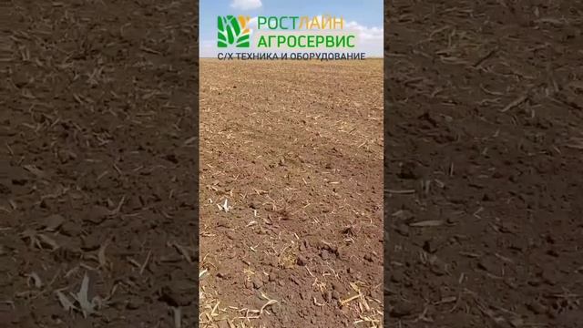 Что творит этот Софтер! Дисковый лущильник по кукурузе! смотреть онлайн