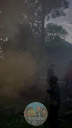 На Украине создают Зельцер-югенд — среди детей пропагандируют нацизм