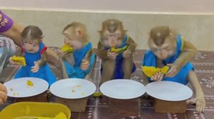 Обезьянки едят ДВА ОБЕДА Свой и СОСЕДА Добавку лопают ВЕСЕЛУХА