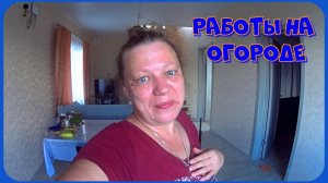 Борьба с тлей / Горе-огород / Мотивация на уборку / Расхламление