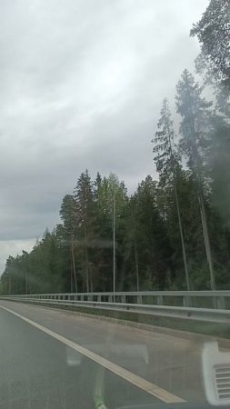 Дорога