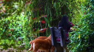 Kenan Doğulu - Ara Beni