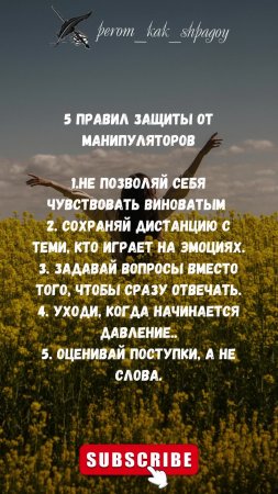 Слова, Развивающие Сознание