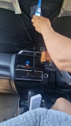авто #ЗОНТ от солнца