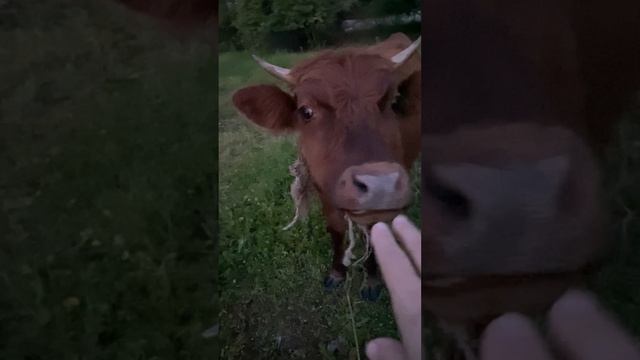 Тишина и покой