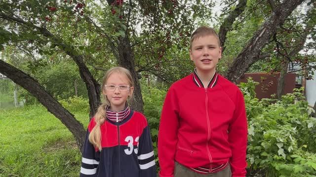 Малиновые косы