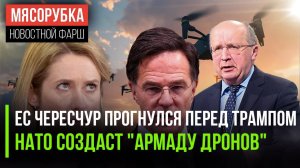 Европа недовольна Рютте || Миллионы дронов хочет НАТО || Канада не пошла в ЕС
