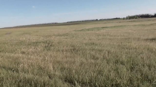 Осваиваю ИНТРОНИК. Находки есть!