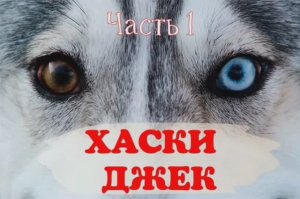 ХАСКИ ДЖЕК-Часть 1| КИНГЕН СТИВ