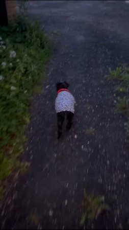 1000080159.mp4