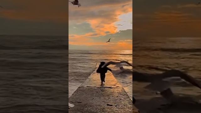 1000103245.mp4