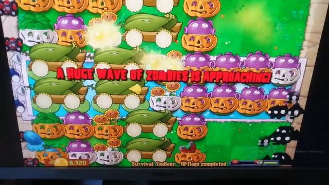 Plants vs. Zombies PC (Windows)