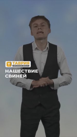 "Нашествие свиней"