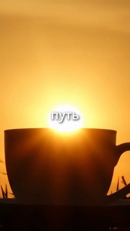 Почему тебе всё время плохо — и как это ломается