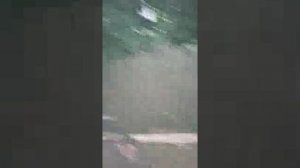 Тварь,начал меня травить цветом