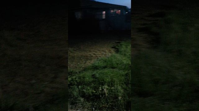 Приехал в деревню помочь маме,  скос травы