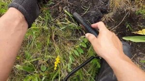 Копаю деревню котрой нет на карте