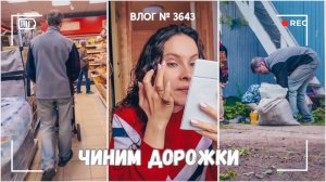 Чиним дорожки | Купили водогрей | Кошки одичали -  ВЛОГ №3643 - 25.06.25