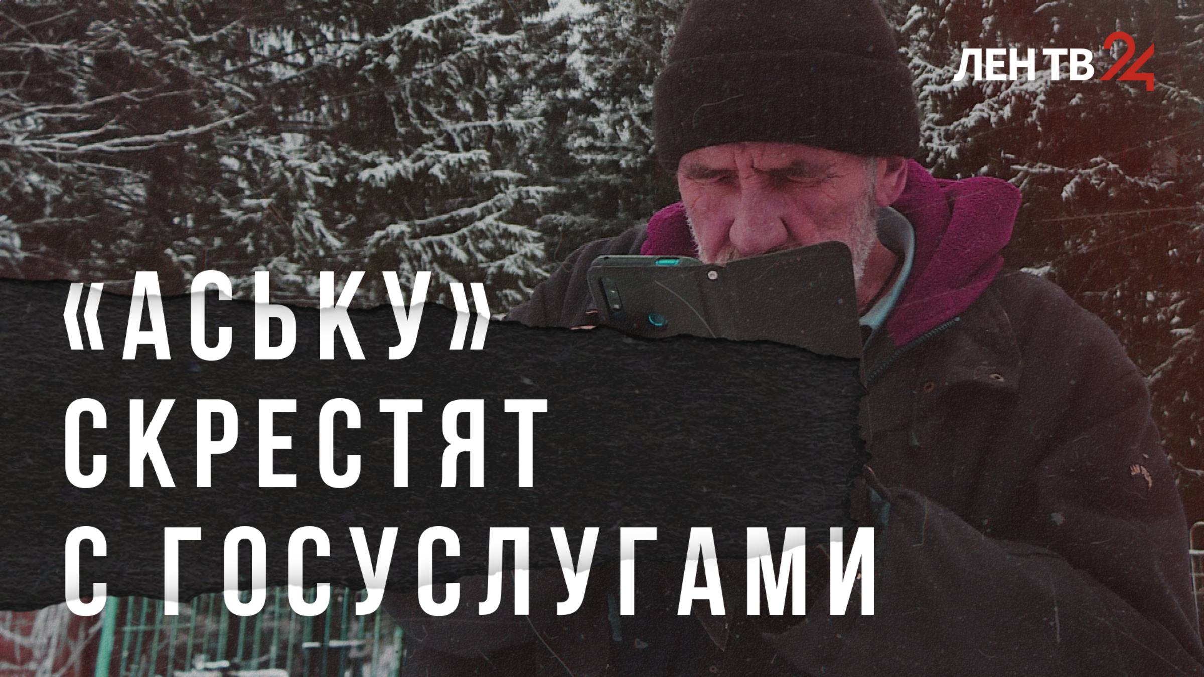 Владимир Путин подписал закон о создании национального мессенджера. Разбираемся в деталях