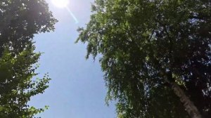 Фитнес, краткое описание