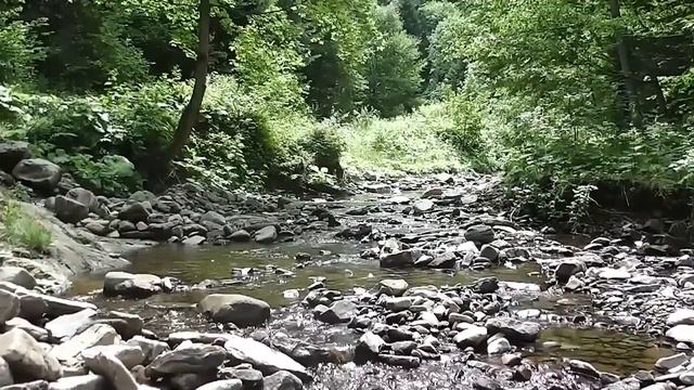 "'@" Keiko Matsui. Mystic Dance. Играет Тадеуш Конопко (аккордеон). смотреть онлайн