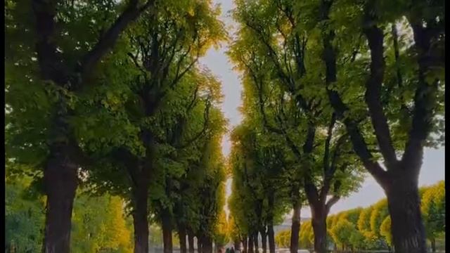 доброе утро 
Good morning