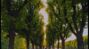 доброе утро 
Good morning