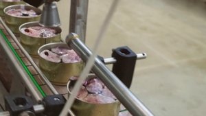 Как выпускается рыбная продукция торговой марки За Родину.