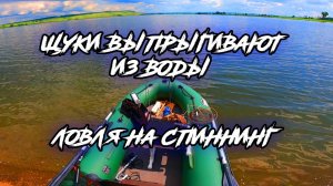 Щуки выходят на свечки. Рыбалка на водохранилище. Mifine microbite в деле.