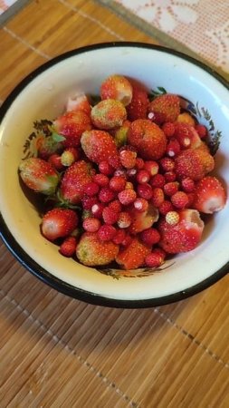 земляника и клубника