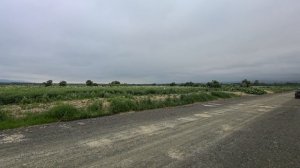 участок березняки.