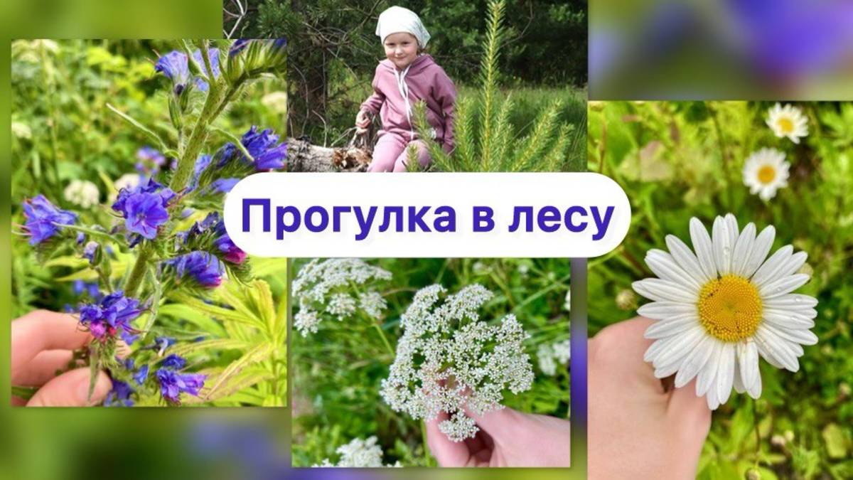 Детство в деревне — летний лес глазами мамы и дочки | Уютный влог