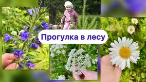 Детство в деревне — летний лес глазами мамы и дочки | Уютный влог