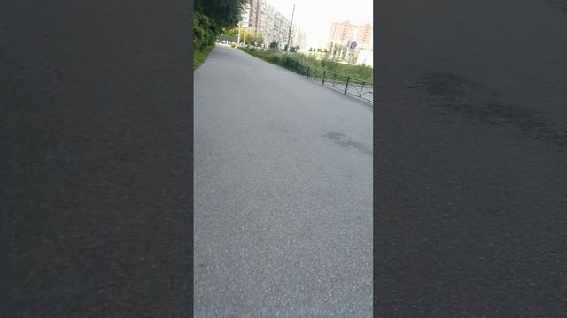 Боярский в Мариинской, гуляем все