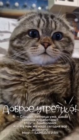 Утро Пятнички)