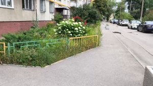 Аллея с пикантным названием и огородики у подъезда многоэтажки.
