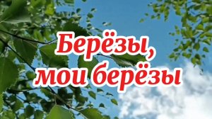 Песня про берёзы.