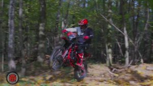 Встречайте!!! Wheelie Motors и бренд эндуро мотоциклов Sanchez!