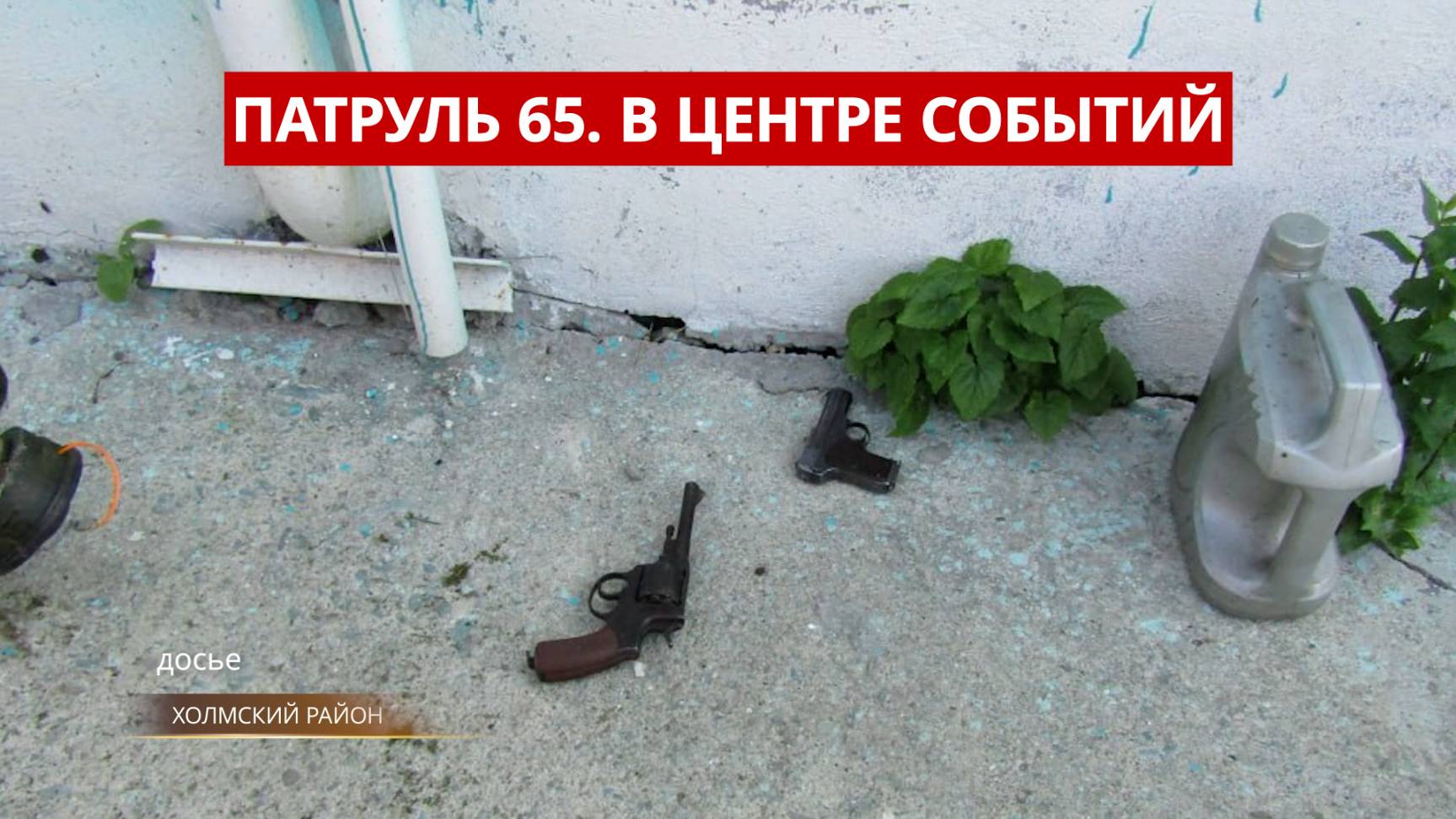 ПАТРУЛЬ 65. Экологическая катастрофа, медведи на трассе и коровы-вандалы. Сахалин и Курилы 27.06.25