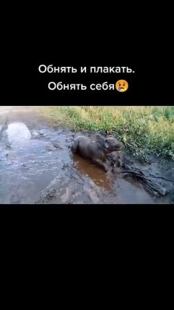 Сезон официально открыт.