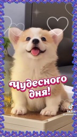 Доброе утро