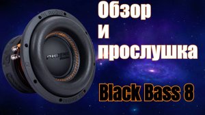 Сможет ли этот сабвуфер удивить? Тестируем Phoenix Black Bass 8
