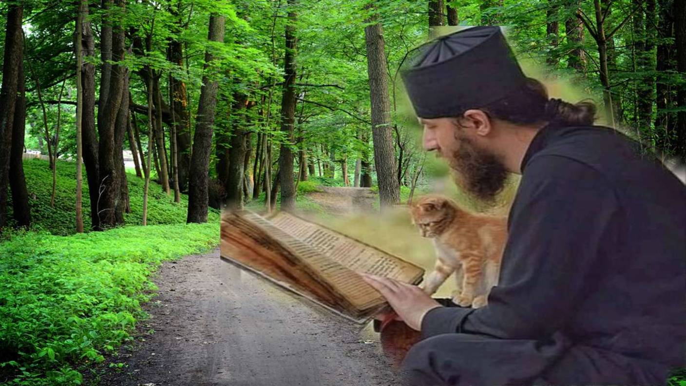 Отчего  иногда молитва не приносит покоя и радости?_Как лучше молиться по книге или своими словами?