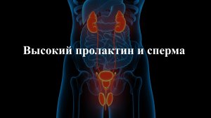 Высокий пролактин и сперма